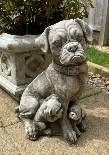 Statua pietra cane e - statua, in