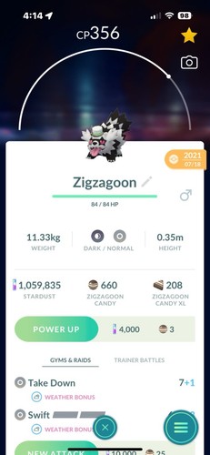 Cappello galarian zigzagoon - galarian,