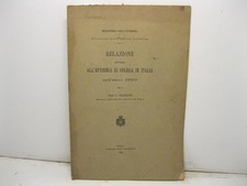 PAGLIANI L., Relazione intorno