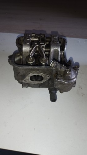 Honda 300 2008 - 2008, testa