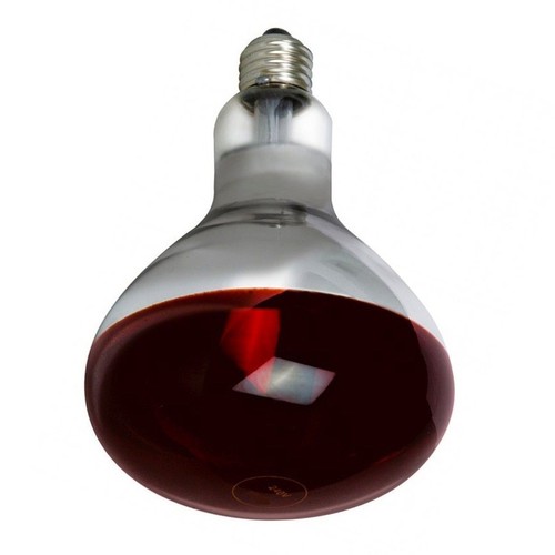 Lampada lampadina termica - lampadina,