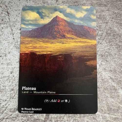 Plateau custom art - plateau,