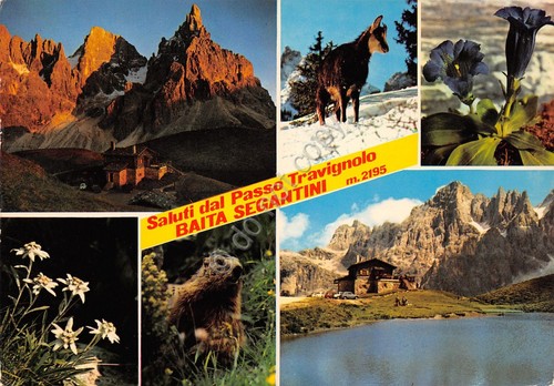 Cartolina baita segantini - cartolina,