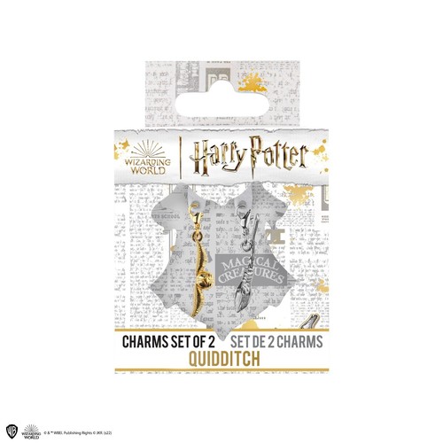 Harry potter quidditch charms - harry,