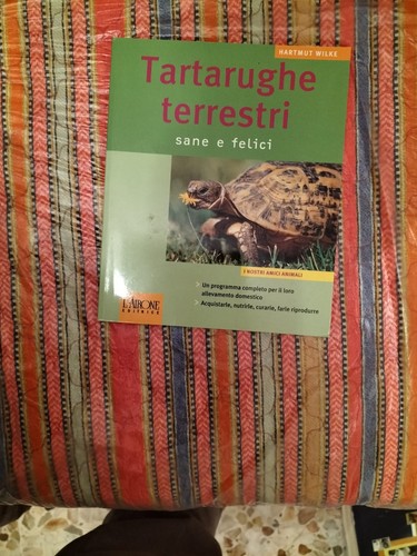 Tartarughe terrestri sane - terrestri, e