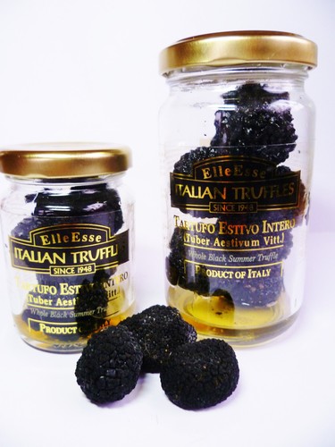 Tartufo italia estivo - tartufo,