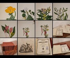 Monumentale Farmacia Chimica