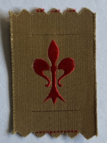 Asci scout distintivo - asci,