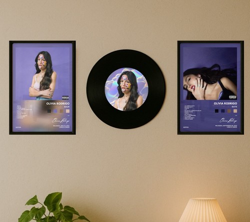 Set due quadri vinile - quadri,