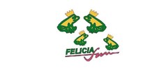Felicia fun kit decalcomanie
