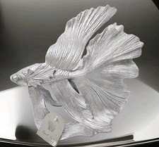 Nuovo Splendido Pesce Beta