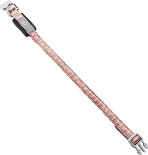 Accessori per cani - cani, led
