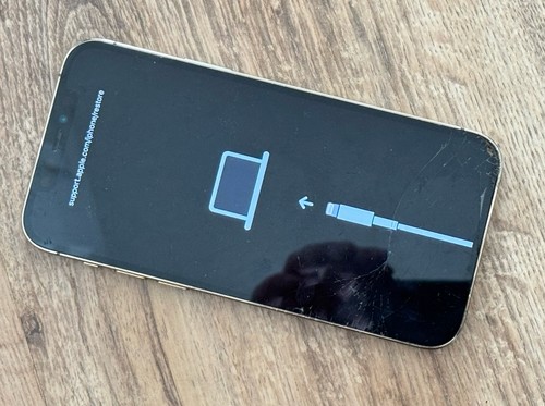 Apple iphone pro - pro,