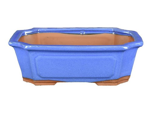 Vaso per bonsai rettangolare