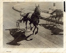 1957 Film April Love Pat BONE actor Henry Levin director cinema still Photo