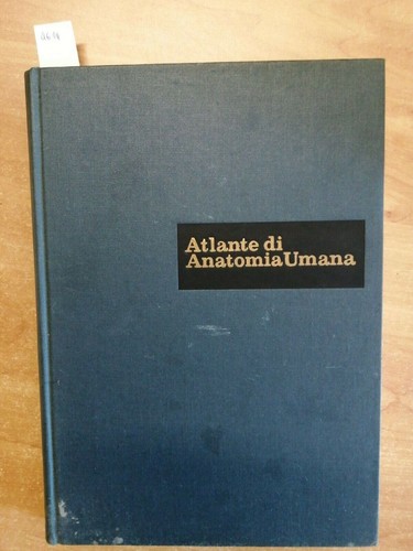 Atlante anatomia umana - di,