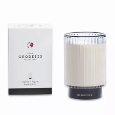 Geodesis fico albero - geodesis,