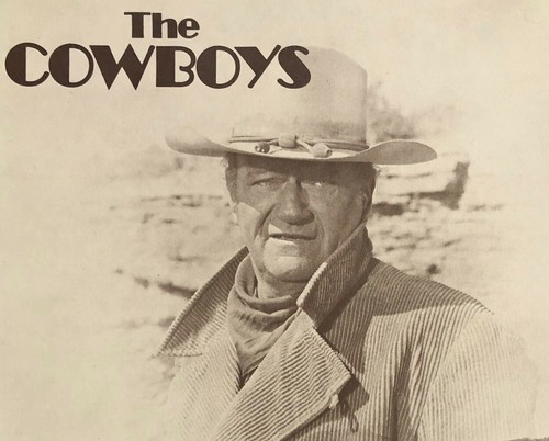 Cowboys poster film espositore - cowboys,