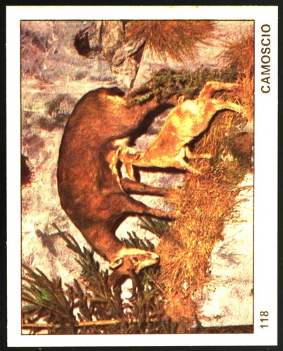 Mondo degli animali - degli, (1970)