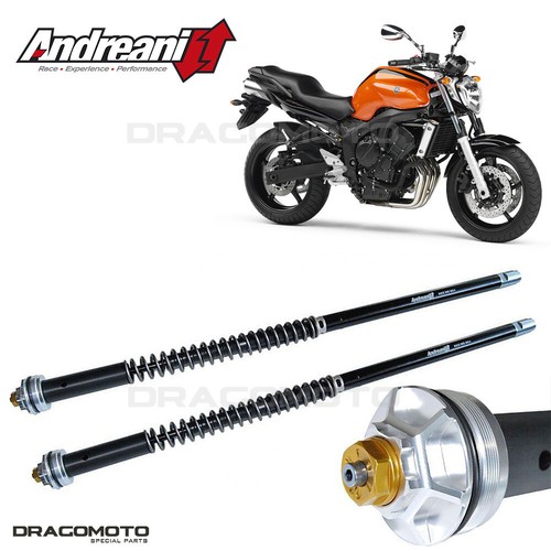 Yamaha fz6 fazer - fazer, /