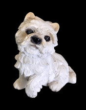 White West Highland Terrier