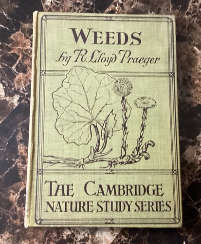 Weeds simple lessons for - lessons,