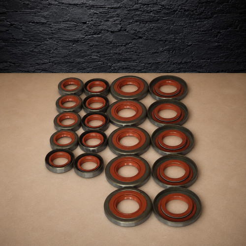 Set pezzi guarnizioni olio - 10,