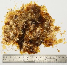 10g SHELLAC jewels orologio