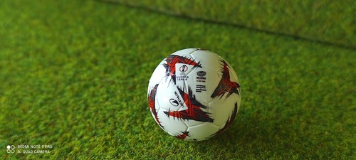 Pallina subbuteo - pallina, 22