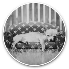 2 adesivi in vinile 30 cm (bw)