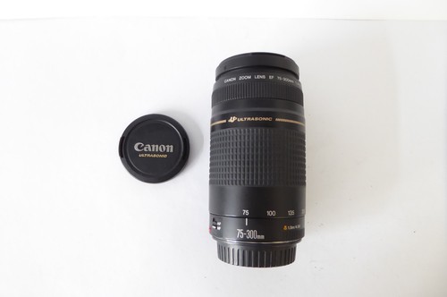 Canon 300mm 5 6 ii - ef,