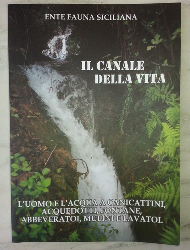 Canale della vita uomo - canale, l'uomo