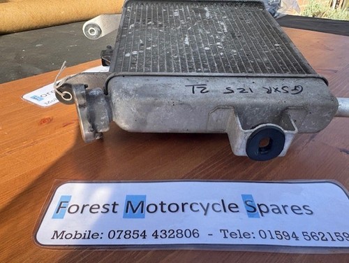 Suzuki gsx 125 2021 complete - gsx,