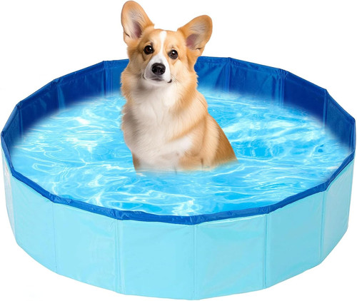 Piscina per cani gatti - cani,