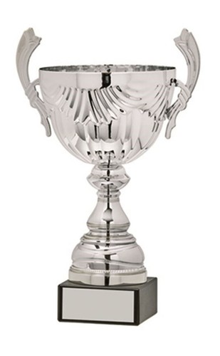 Trofeo coppa personalizzato - coppa,