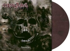 FLESHCRAWL - SOULSKINNER, 2020