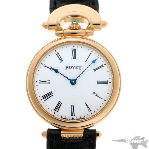 Scheletro posteriore bovet - scheletro,
