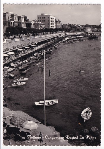P01080 cartolina nettuno - -,