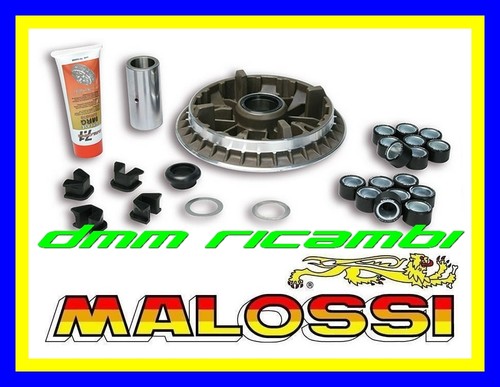 Variatore malossi multivar - malossi,