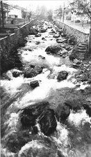 Foto d'Autore "Crissolo Pian