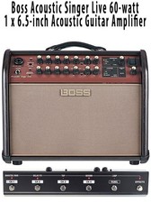Boss Acoustic Singer Live