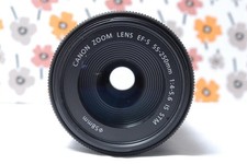  Canon EF-S 55-250mm IS STM