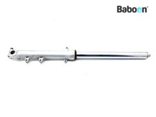 Gamba forcella anteriore