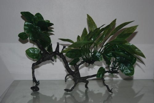 Per acquario realistico verde - realistico,