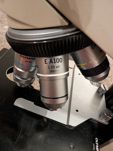 Microscope - ,