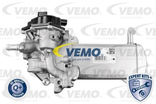Valvola vemo v10 - valvola, agr
