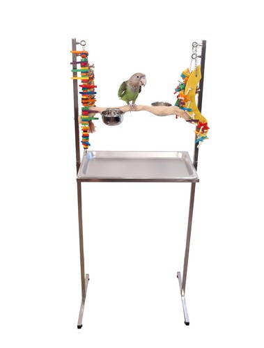 Supporto gioco pappagallo