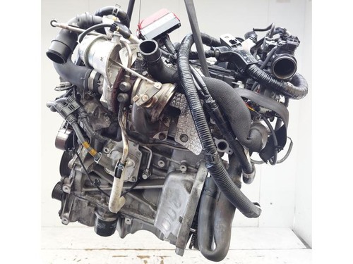 K14d motore suzuki - k14d,