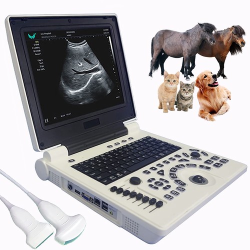 Scanner ultrasuoni - scanner, ad