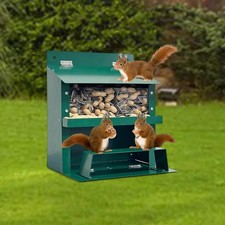 Mangiatoia per scoiattoli per